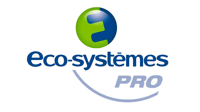 Logo Eco-Systèmes Pro